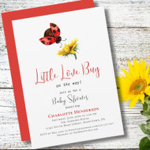Fête de naissance coccinelle, Thème Bébé Fille Pet