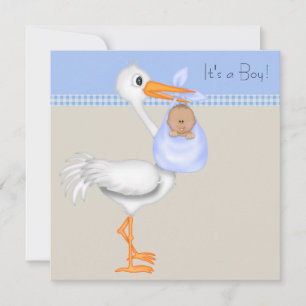 Invitation Fête de naissance de bébé garçon Stork Gingham Bei