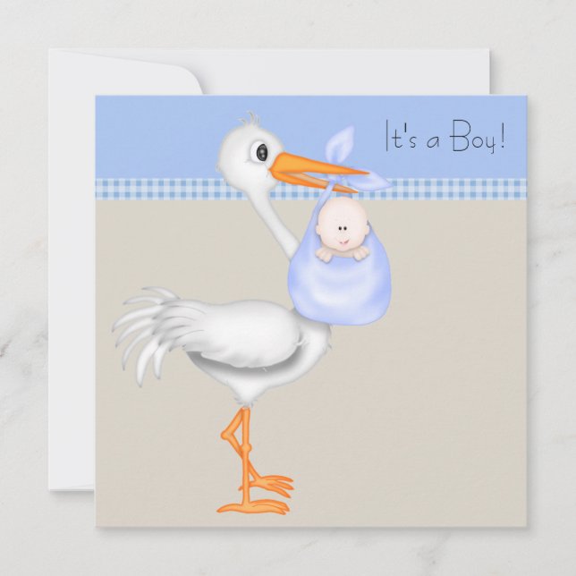 Invitation Fête de naissance de bébé garçon Stork Gingham Bei (Devant)