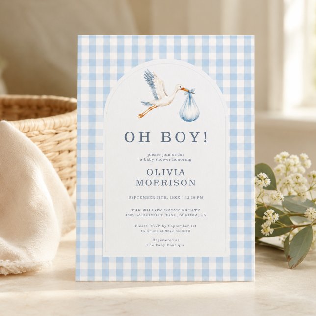 Invitation Fête de Naissance Garçon Stork Bleu Gingham (Créateur téléchargé)