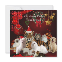 Fête de Noël des animaux de compagnie Xmas Tigre C