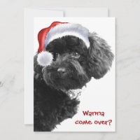 Fête de Noël du chien de la petite Père Noël Invit