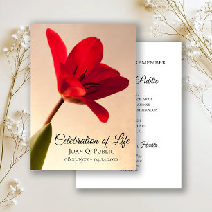 Invitation Fête des funérailles du printemps de la tulipe rou
