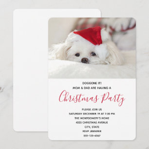 Invitation Fête drôle de chien blanc avec un chapeau de Noël 