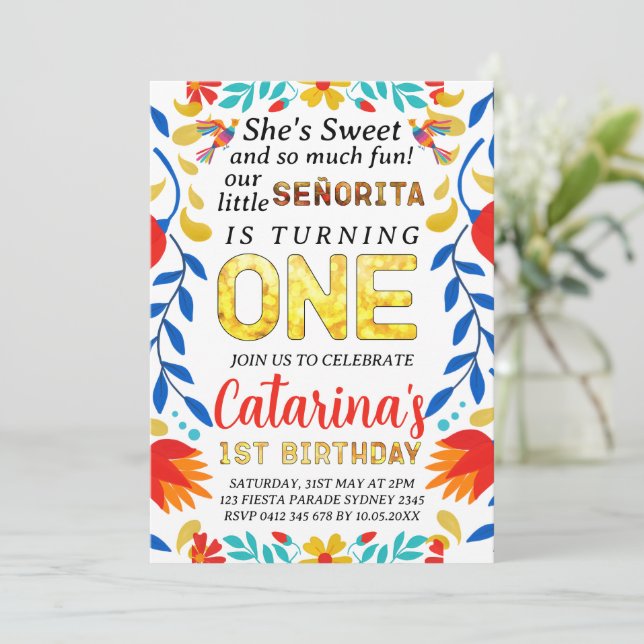 Invitation Fête ÉDITABLE 1er anniversaire, fête du Cinco de M (Debout devant)