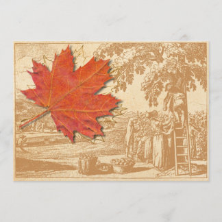 Invitation Feuille d'érable et vieille gravure de récolte