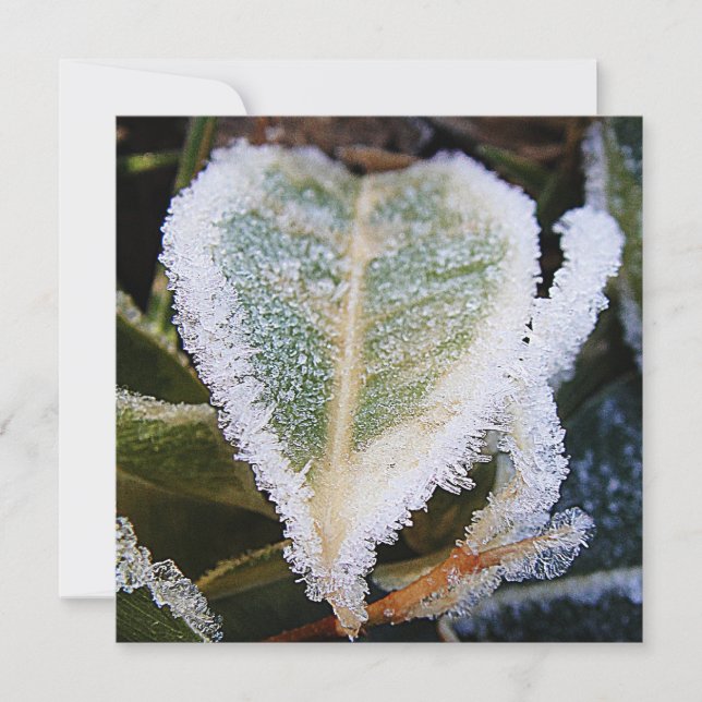 Invitation Feuille en forme de coeur avec glace (Devant)