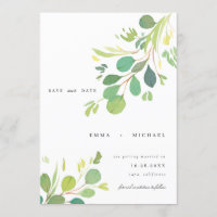 Feuilles de l'Eucalyptus Aquarelle Enregistrer la 
