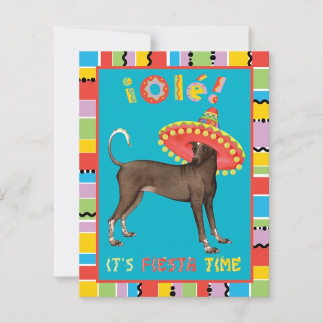 Invitation Fiesta Xolo (Devant)