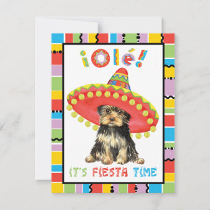 Invitation Fiesta Yorkie