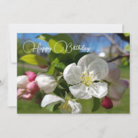 Fleur blanche de pommier. Joyeux anniversaire