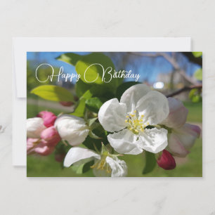 Invitation Fleur blanche de pommier. Joyeux anniversaire