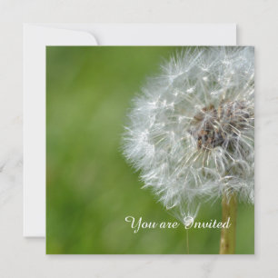 Invitation Fleur Dandelion Anniversaire