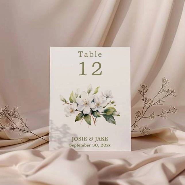 Invitation Fleur de fleur de pomme blanche Signe Numéro de ta (Gentle Apple Blossom green and white Table Number Cards. )