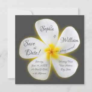 Invitation Fleur de Plumeria blanche Carré moderne, Sauvez la