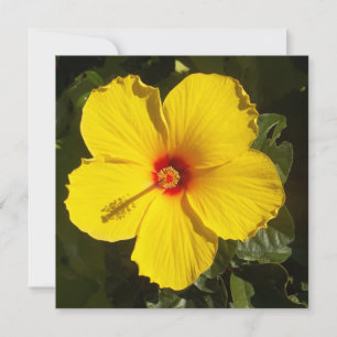 Invitation Fleur d'Hibiscus jaune
