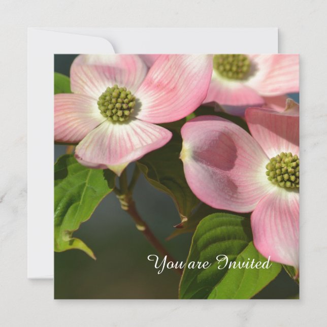 Invitation Fleurs de Dogwood Rose Anniversaire (Devant)