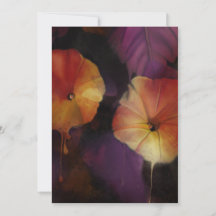 Fleurs de gloire du matin