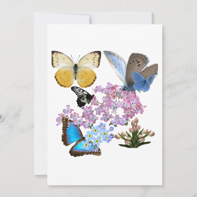 Invitation Fleurs et papillons : un nouveau bigGENCE (Devant)