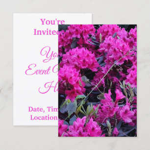 Invitation Fleurs roses Rhododendron