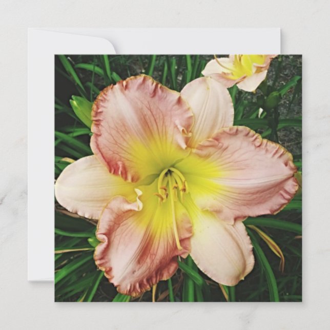 Invitation Floraisons printanières (Devant)