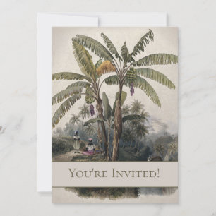 Invitation Forêt de bananiers tropicaux antiques   Bota vinta