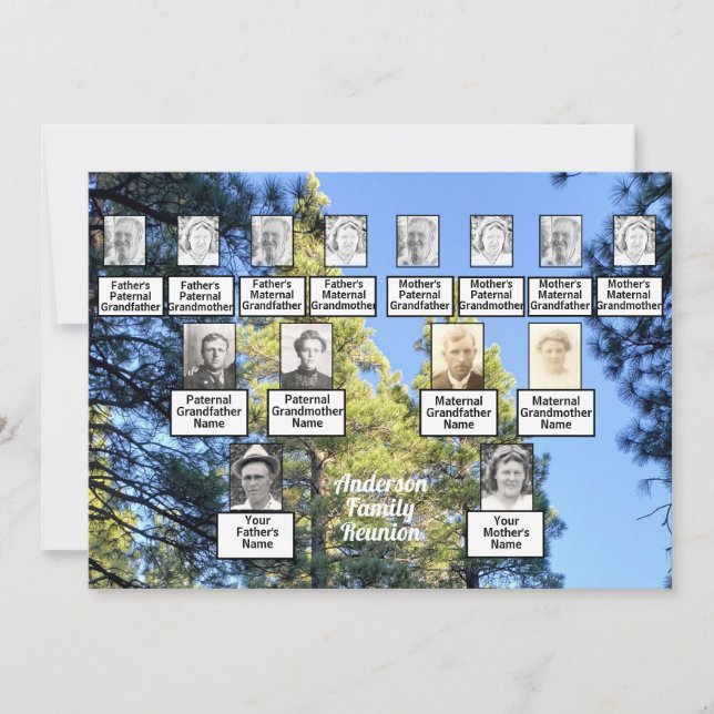 Invitation Forêt de pins Photo 3 Génération Famille Réunion (Devant)