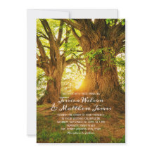 Forêt rustique Mariage campagnard de verdure d'été