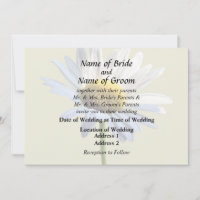 Fournitures de mariage Daisy Shadow et Light