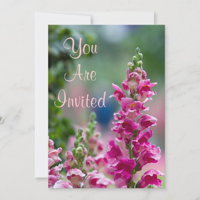 Invitation Foxglove rose florissante (Devant)