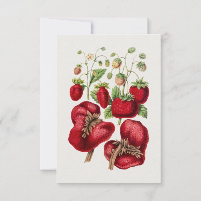 Invitation Fraise vintage (Devant)