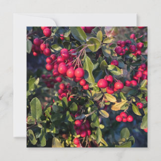 Invitation Fruit d'automne