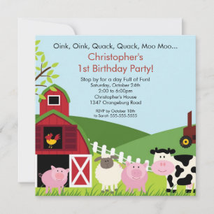 Invitation Fun Birthday Party