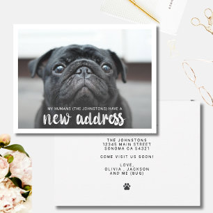 Invitation Funky Modern Nouvelle Adresse Animaux de compagnie