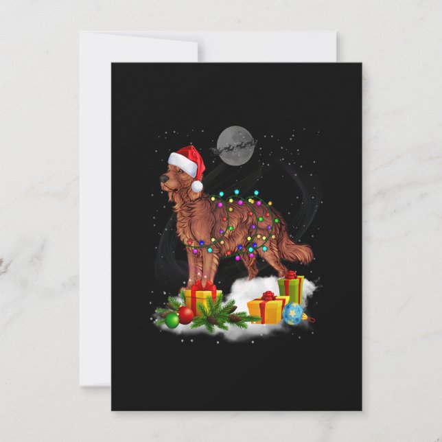 Invitation Funny Irish Setter Dog Christmas Lights Santa Hat  (Devant)
