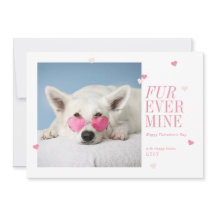Fur Jamais Mine Animaux de compagnie Valentines Ca