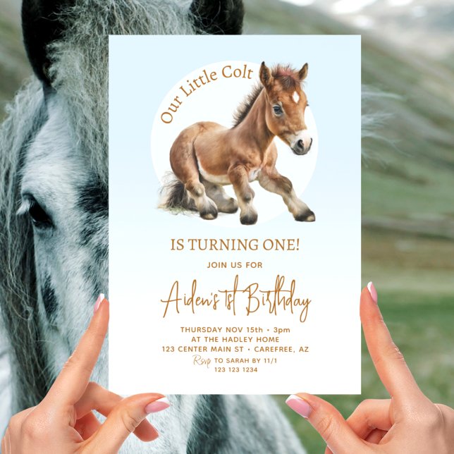 Invitation Garçons au cheval mignon 1er anniversaire (Créateur téléchargé)