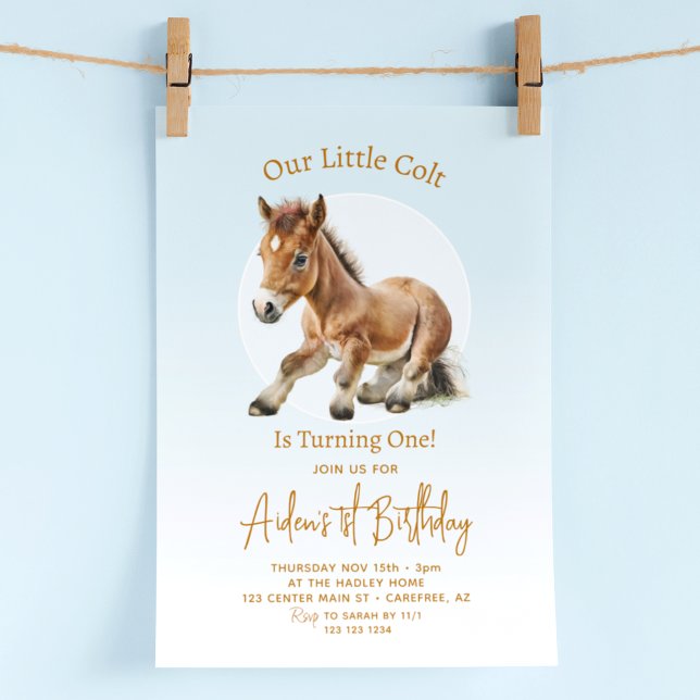 Invitation Garçons pour 1er anniversaire de cheval (Créateur téléchargé)