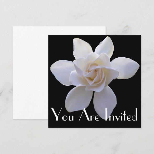 Invitation - Gardenia sur Black (Devant / Derrière)