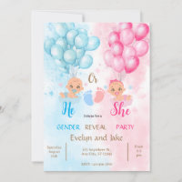 Gender reveal baby shower blue pink boy girl