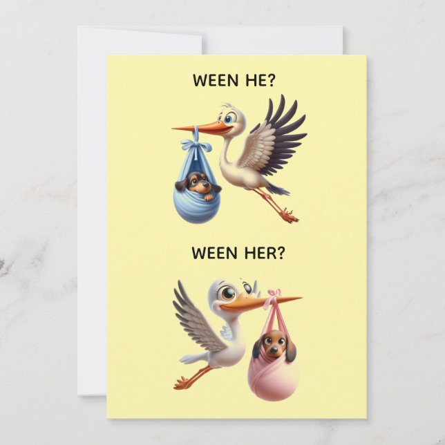 INVITATION GENDER REVEAL PARTY (Devant)