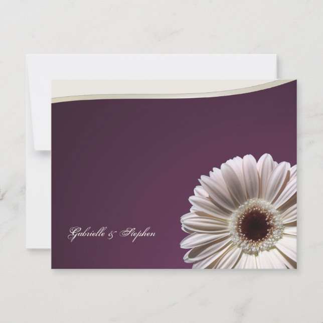 Invitation Gerbera Daisy/ Plum Fancy (Devant)
