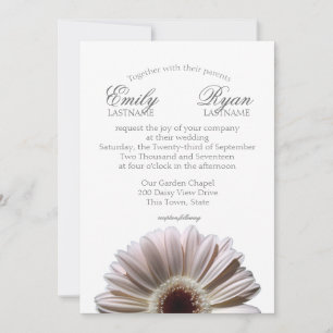 Invitation Gerbera Daisy White Blush