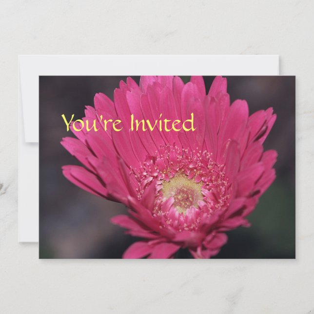 Invitation Gerbera en Fleurs (Devant)