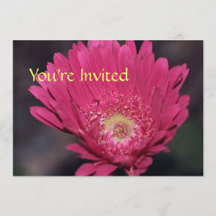 Invitation Gerbera en Fleurs