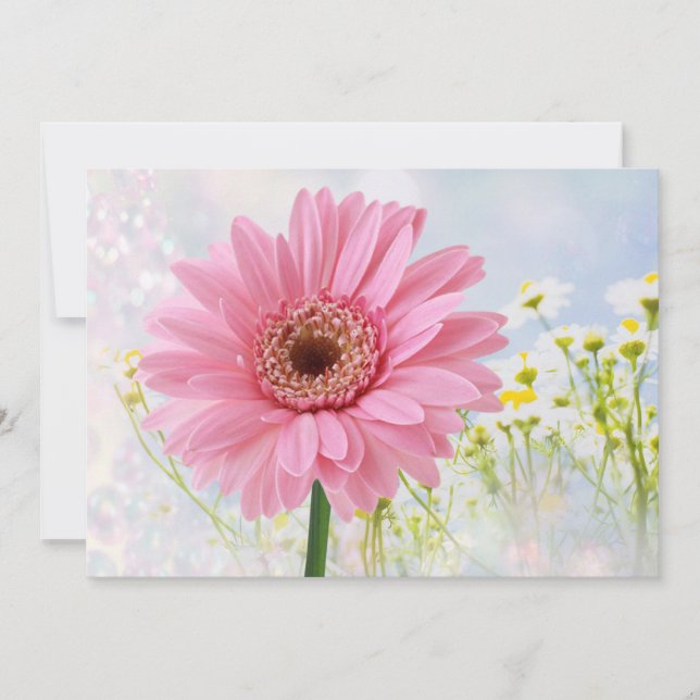 Invitation Gerbera marguerite rose pour toute occa (Devant)