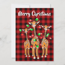 Giraffe Festive, lumière scintillante, plaid rouge