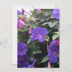 Invitation Glorieuses du matin de printemps en bleu