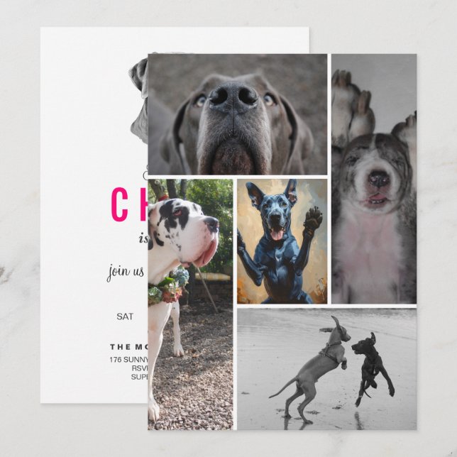 Invitation Grand Danois (Devant / Derrière)