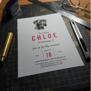Invitation Grand Danois coin arrondi photographie 